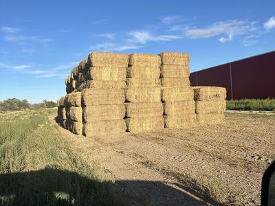 350 Bales of Straw Kochia Mix