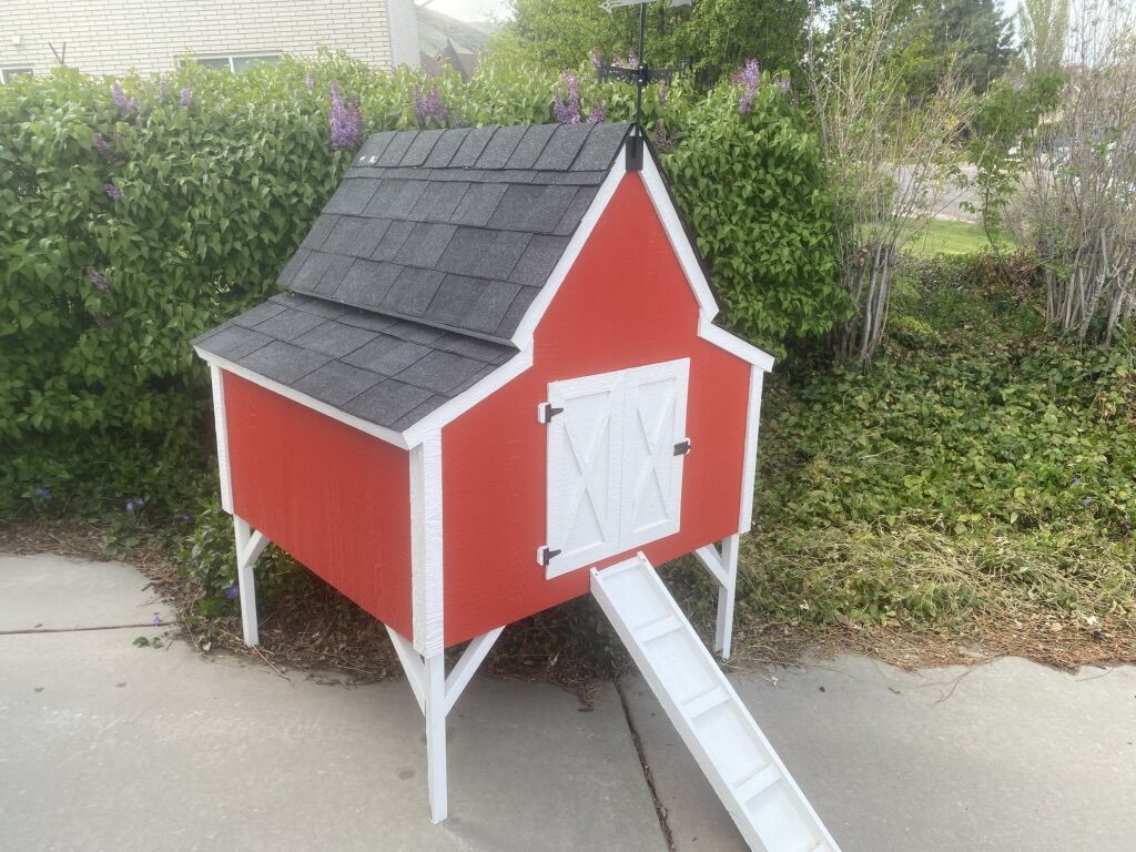 Solid Wood, Chicken Coop