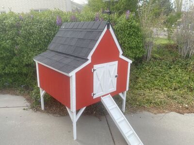Solid Wood, Chicken Coop