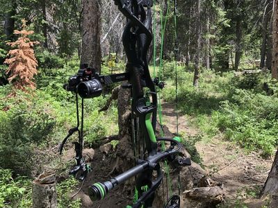Hoyt REDWRX Carbon RX-1 Turbo Bone Collector Edition Bow Package