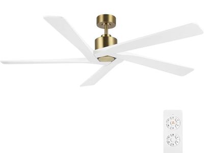 WINGBO Modern 64-inch ceiling fan with remote
