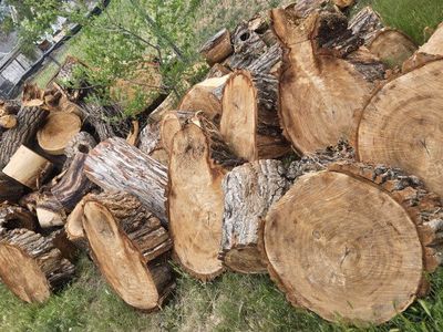 firewood