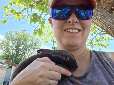 Mini rex rabbit kits