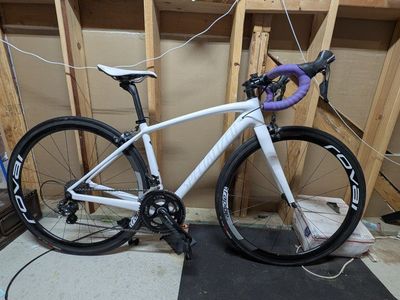 Specialized Amira SL4 Expert carbon