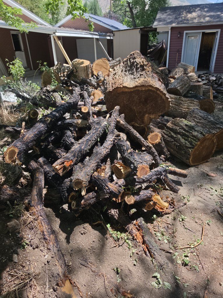 Main image 2