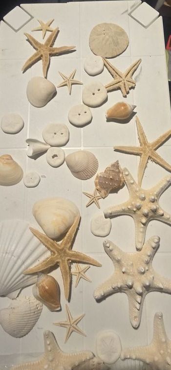 Main image 6