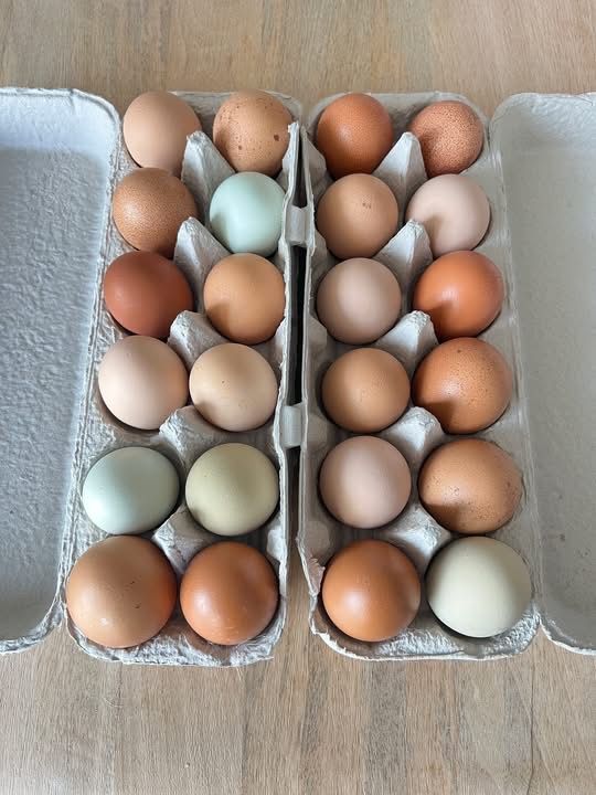 Pasture Eggs
