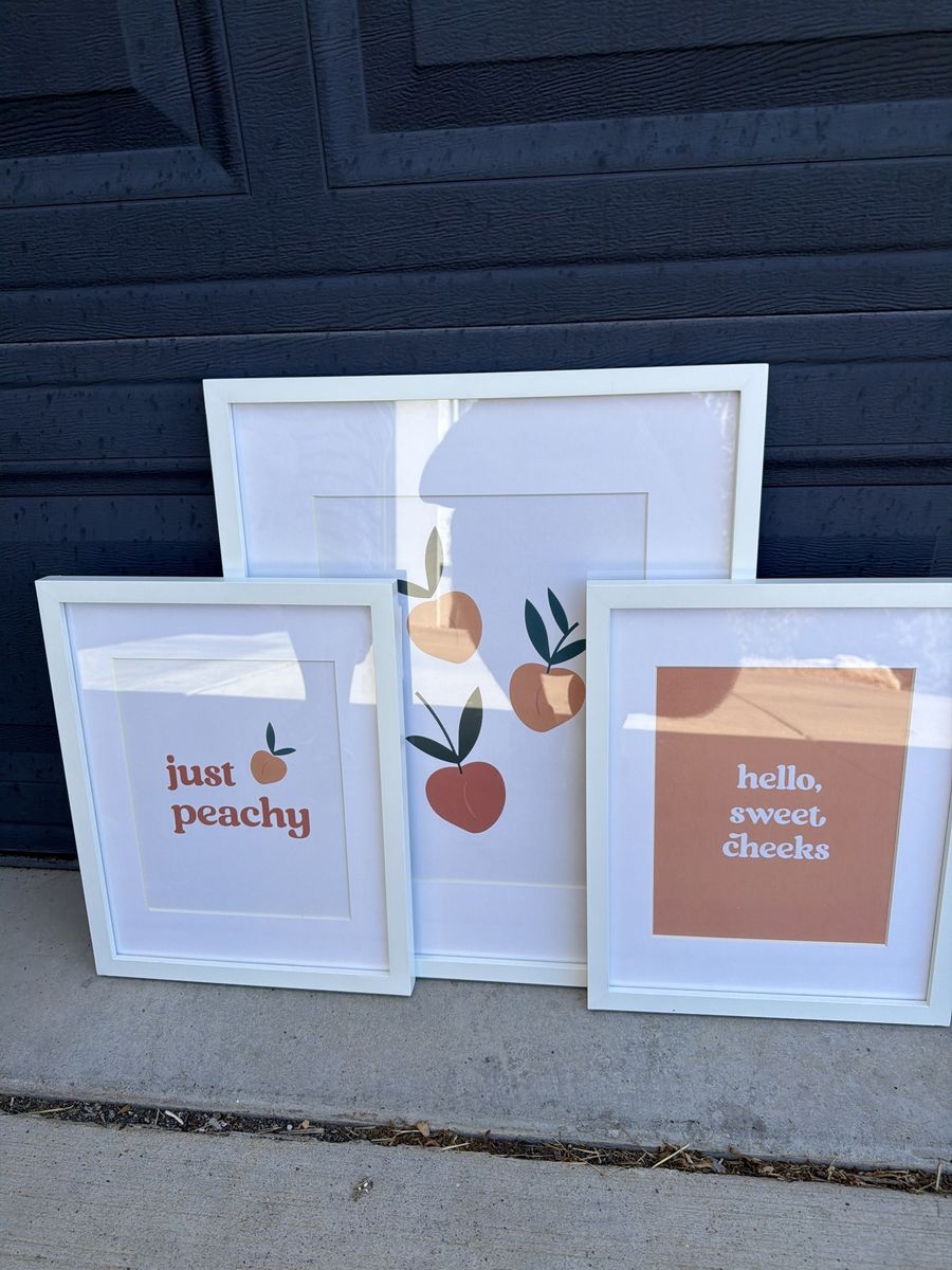 Set of 3 Framed Peach Wall Art Prints - White Frames