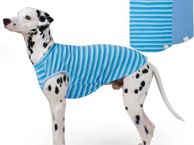 Kamlui 2-Pack Dog Shirts, Blue Striped & Solid Waffle Knit, Soft & Breathable Pet Clothes for Small Dogs