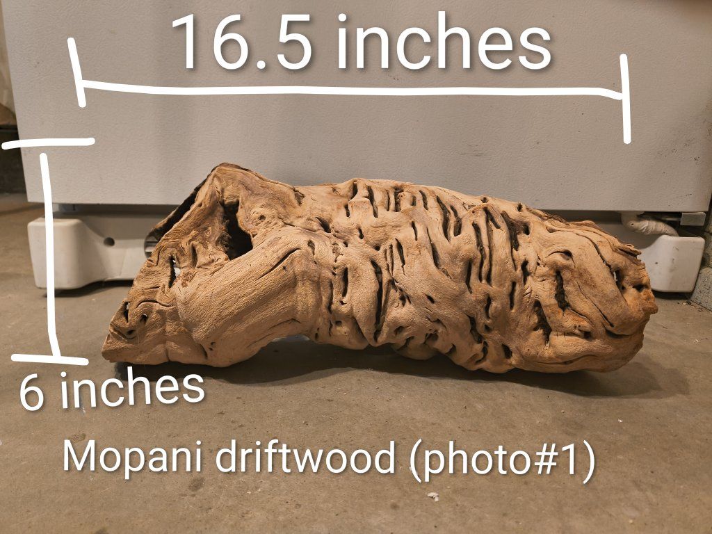 Main image 6