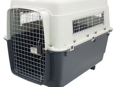 SportPet Airline Kennel w Wheels, XXX-Large