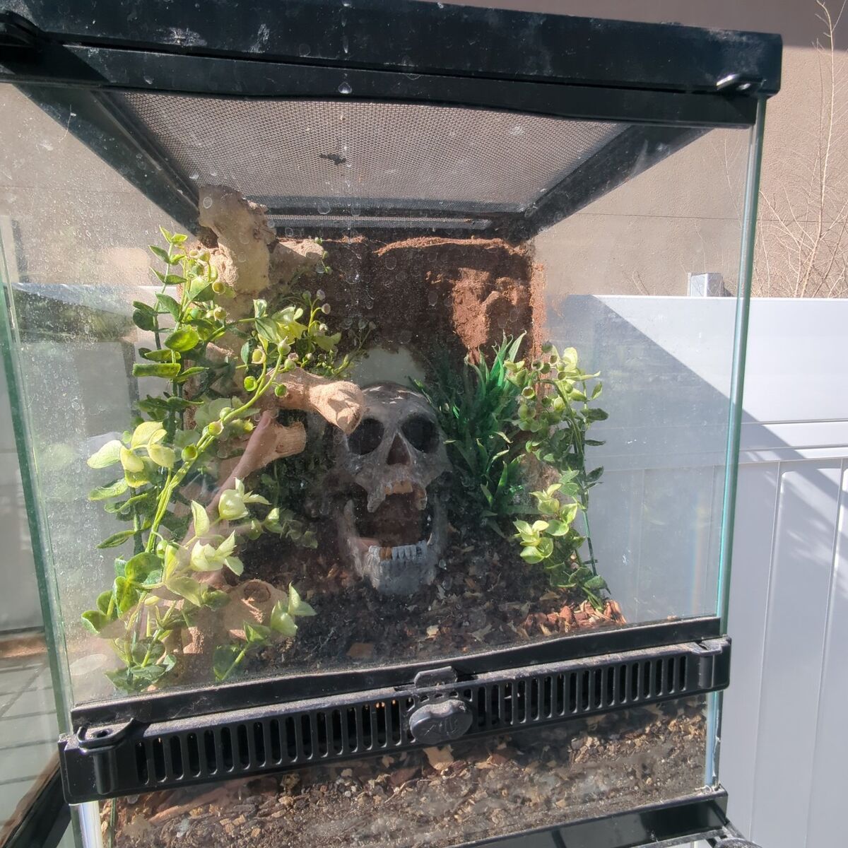 12 x 12 x 15 zilla tank