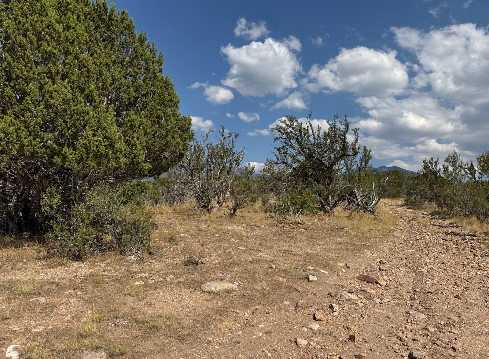 Main image 6