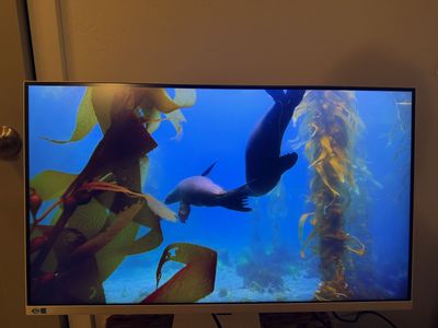 Samsung 32 Viewfinity S7 4k 60hz Monitor - White