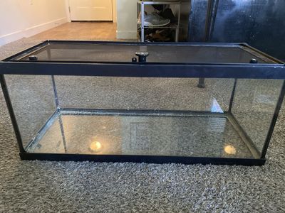 Glass Reptile Tank with Mesh Lid