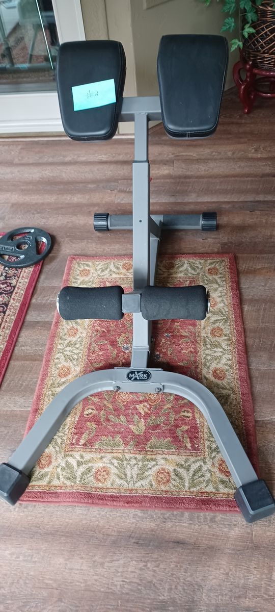 Mark Fitness  Ab and back hyperextension bench