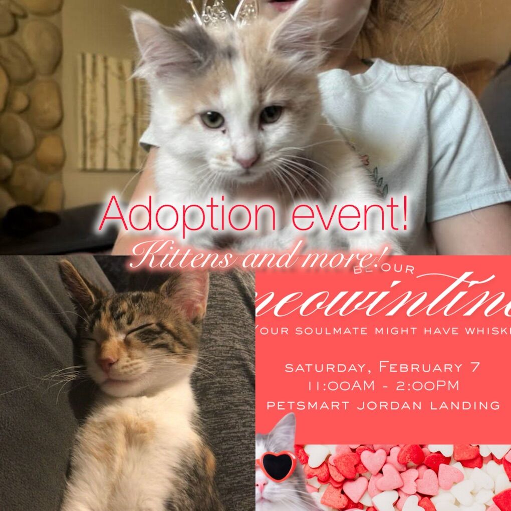 Sat February 7th, West Jordan Petsmart 11-2