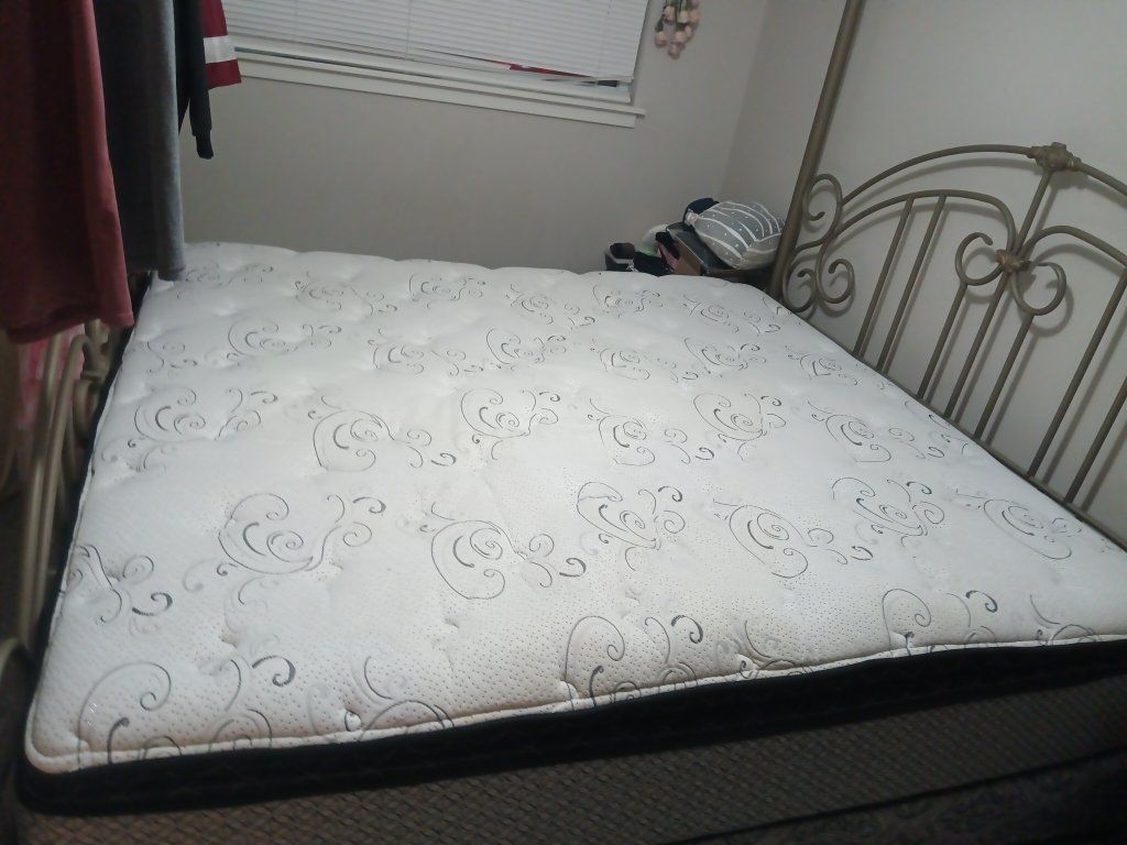 Main image 2