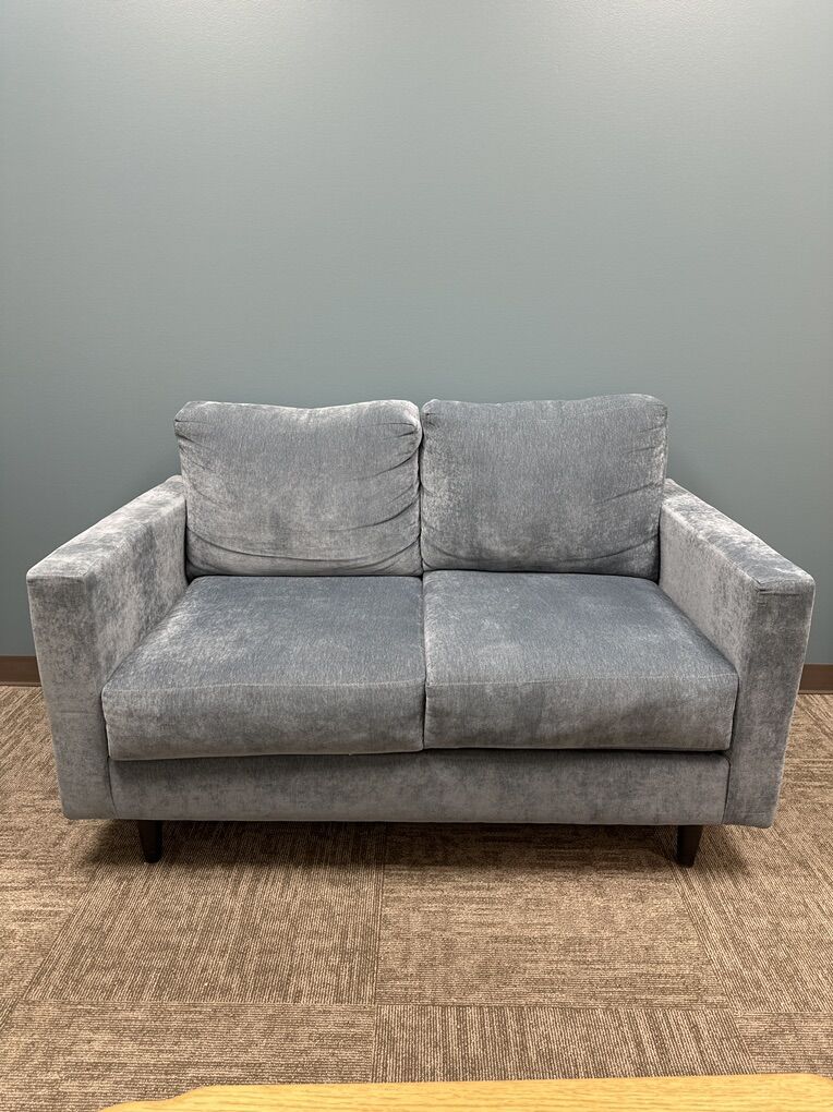 LIght Blue Loveseat – $120 OBO