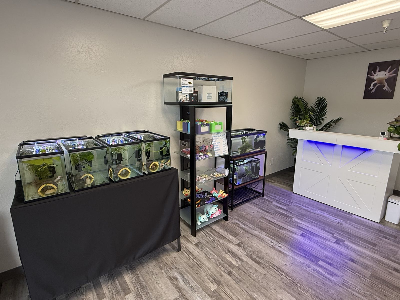 Used Fish Tanks “Aquariums”