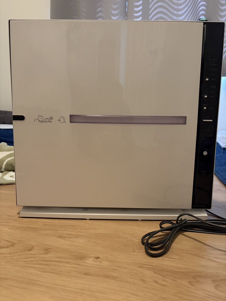 Two Air Purifiers (Rabbit Air SPA-700A)