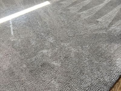 Large beige Area Rug - 12x13