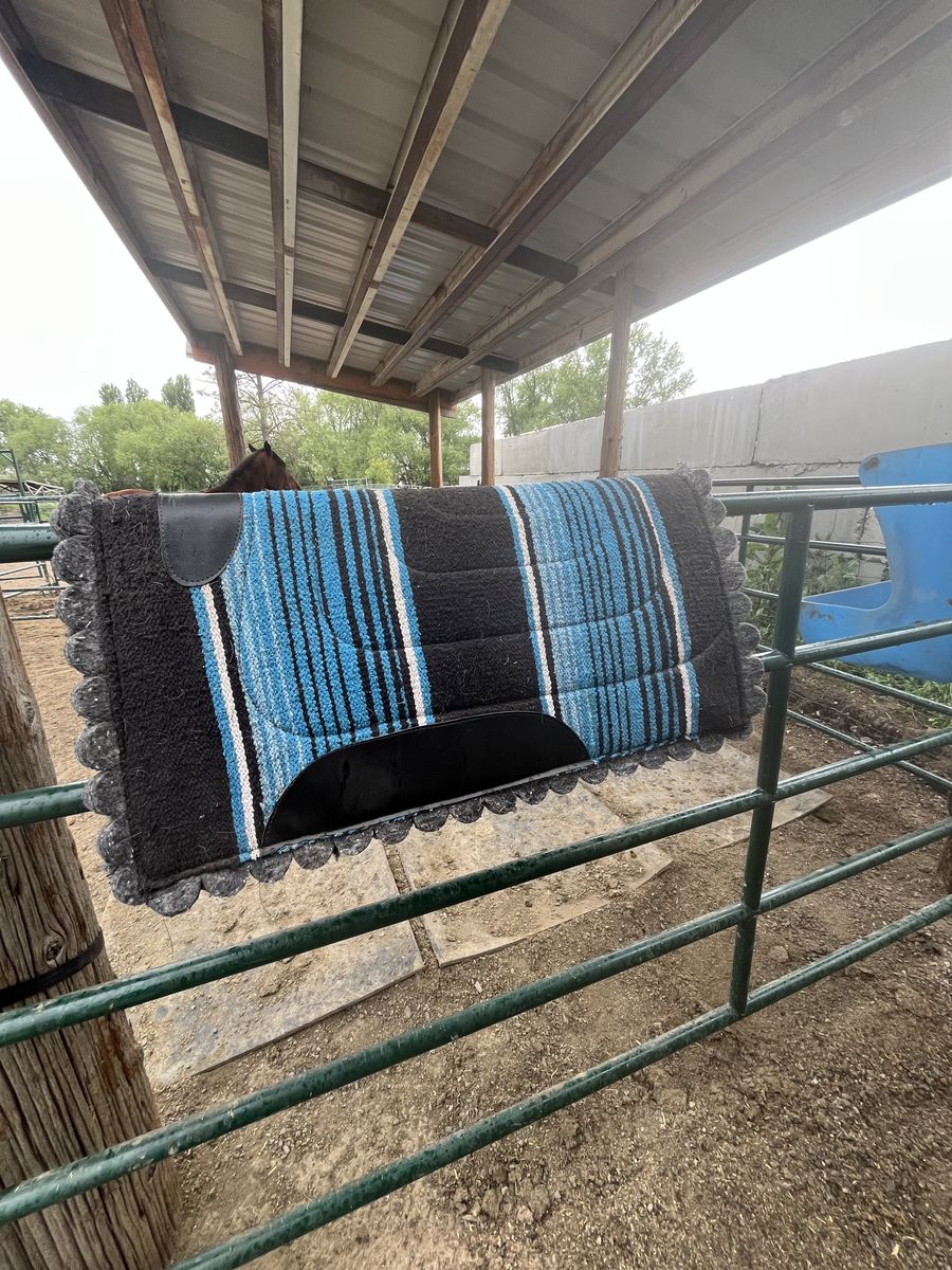 Nice Horse Saddle Pad