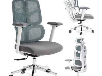 Ergonomic Mesh Office Chair with Footrest, Heavy Duty Desk Chair, Adaptive Lumbar, Adjustable 3D Armrests