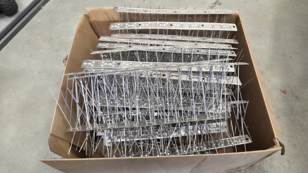 Stainless Steel Bird Spikes