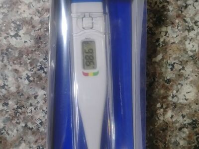 Digital Thermometer