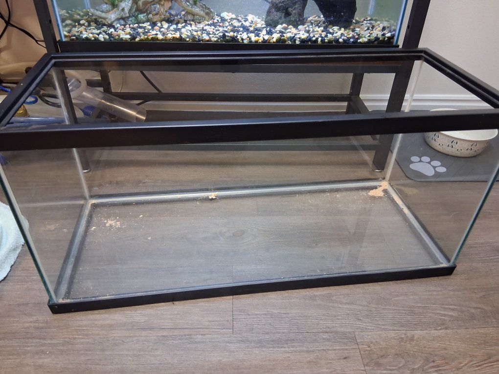 20 gallon long tank