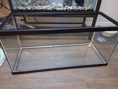 20 gallon long tank