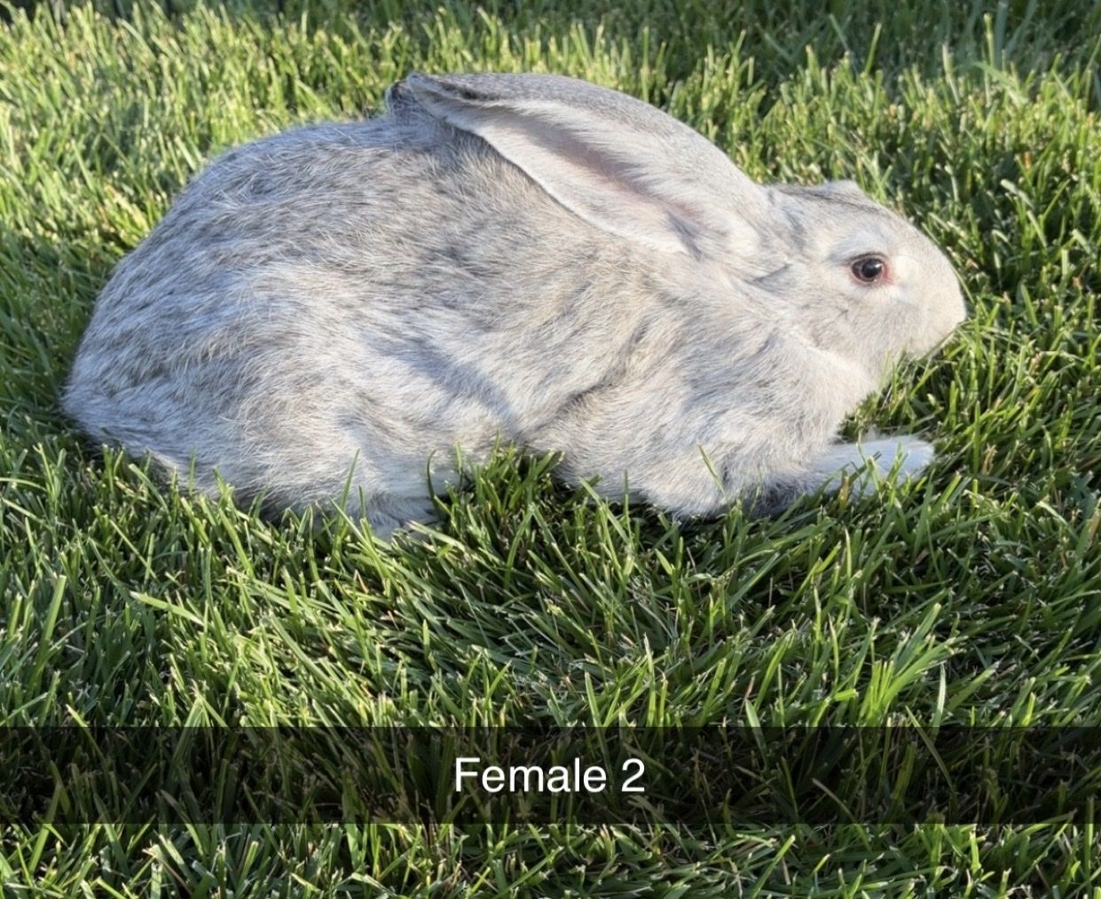 Main image 3