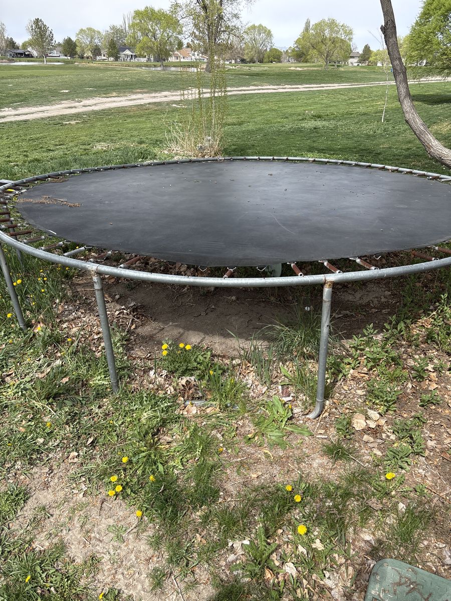 Trampoline