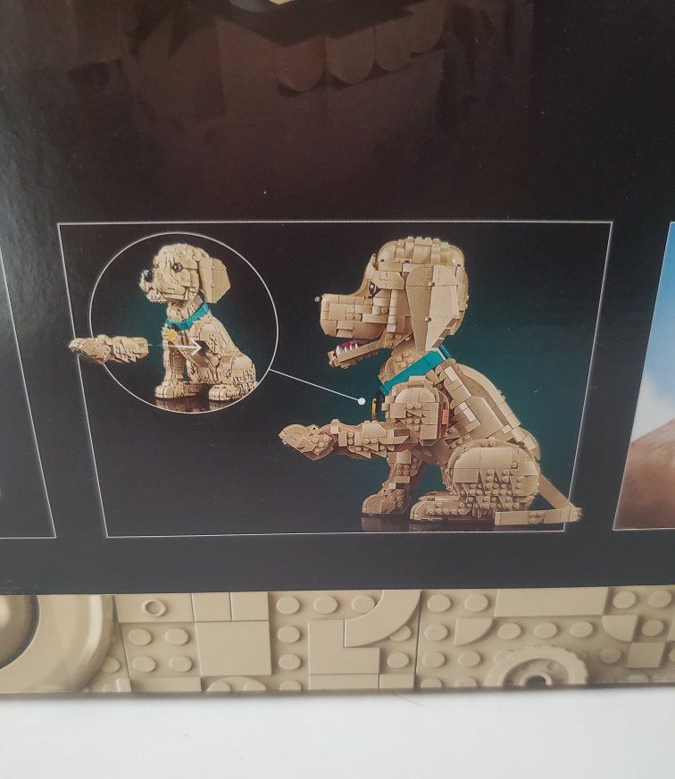 Main image 3