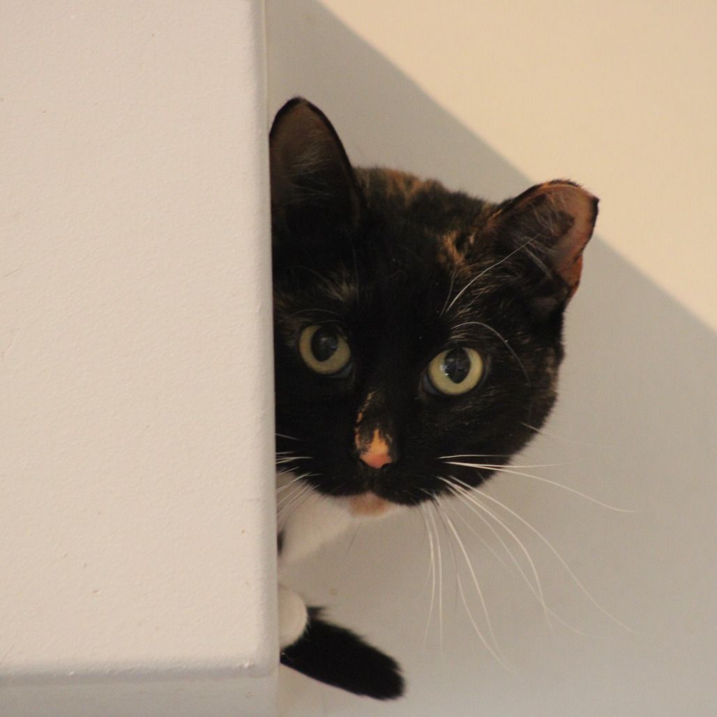 Hello my name is Rorie