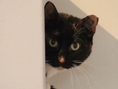 Hello my name is Rorie