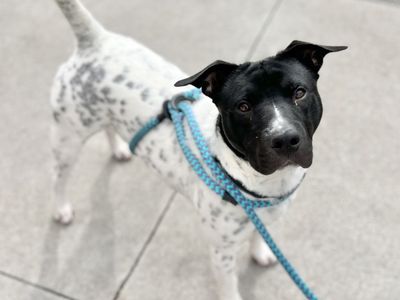 Hello my name is Nick