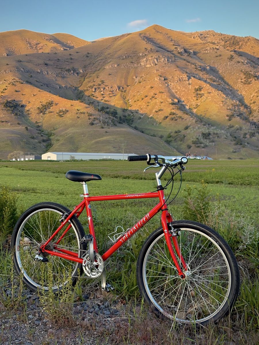 Specialized - vintage pristine condition 90s steel retro hardrock MTB atb mountain bike xbiking cafe cruiser