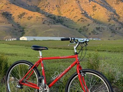 Specialized - vintage pristine condition 90s steel retro hardrock MTB atb mountain bike xbiking cafe cruiser