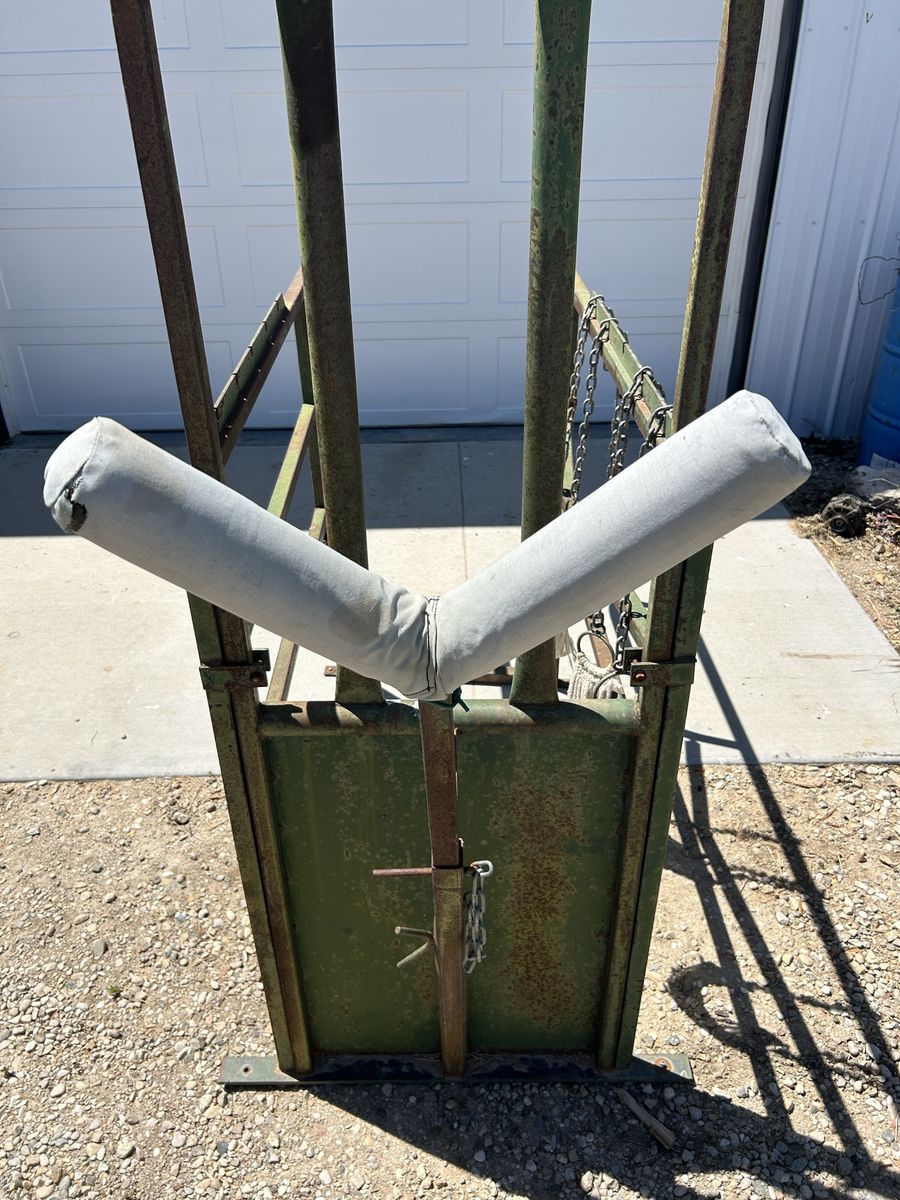 Main image 7