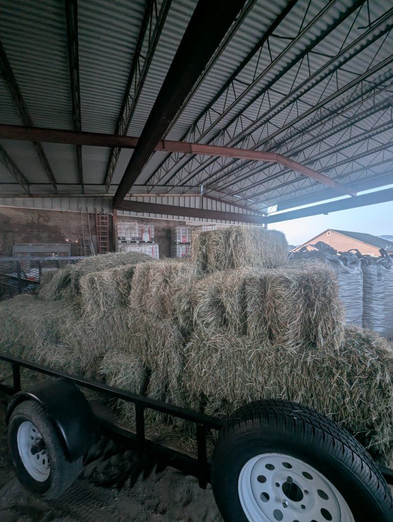 Grass Bales