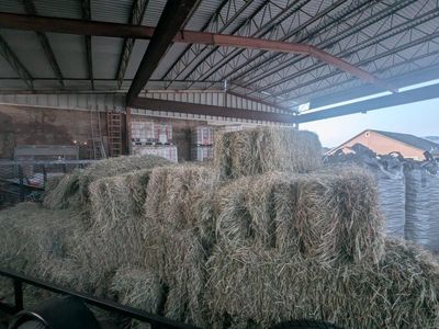 Grass Bales