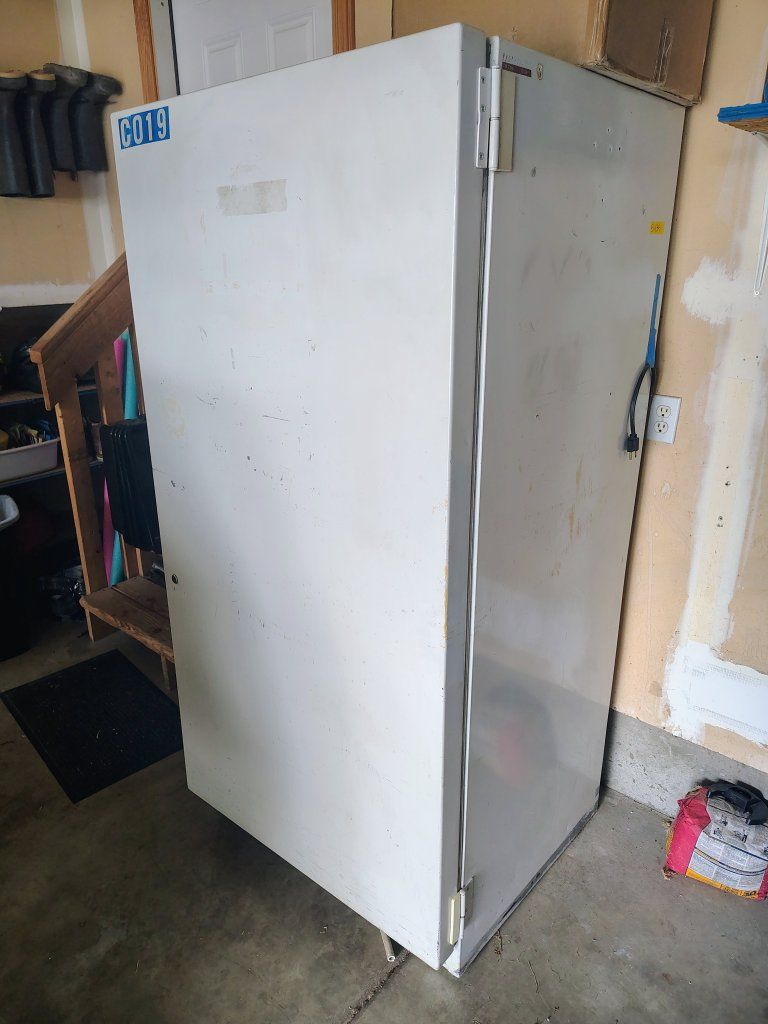 Main image 7