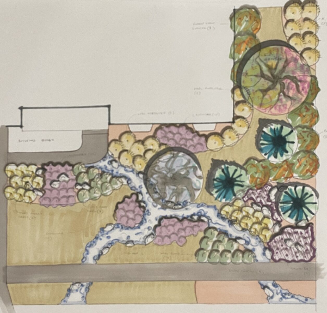 Design Build Xeriscaping Landscape Design and Install