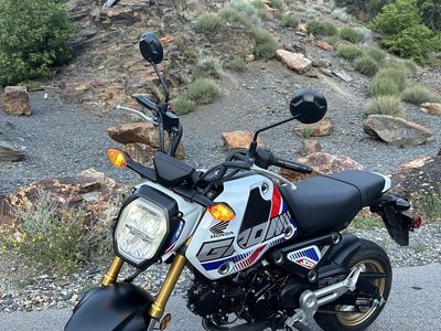 2023 Honda Grom ABS | 1,900 Miles | All Stock | Clean Title in Hand | $2,900