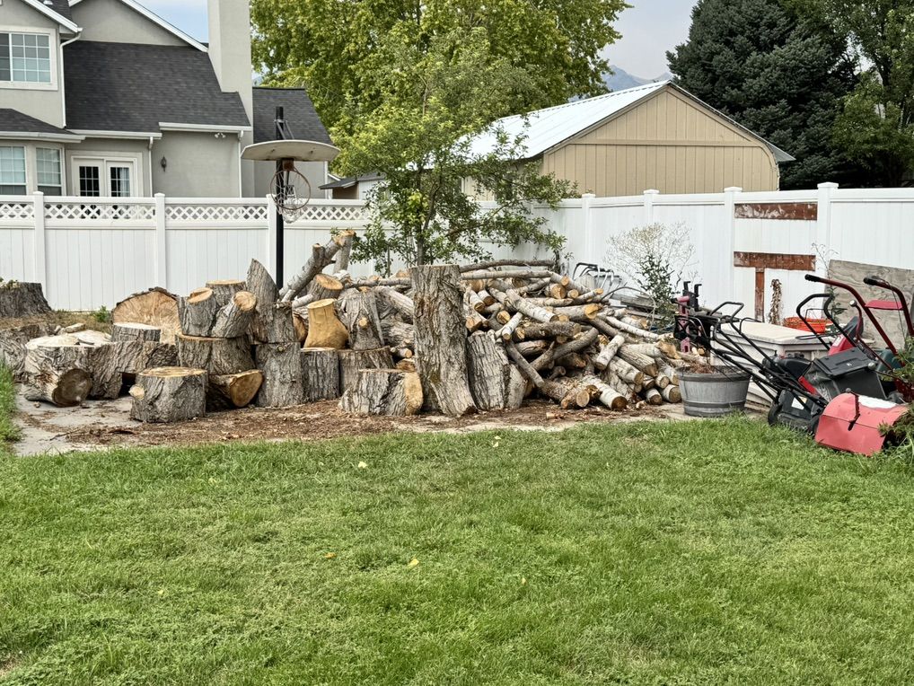 Free Fire Wood