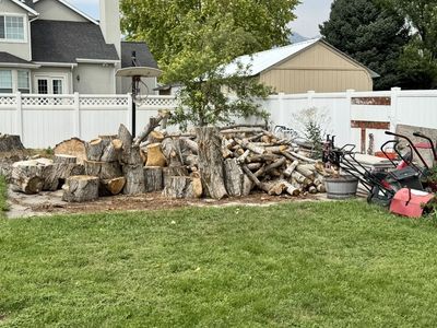 Free Fire Wood