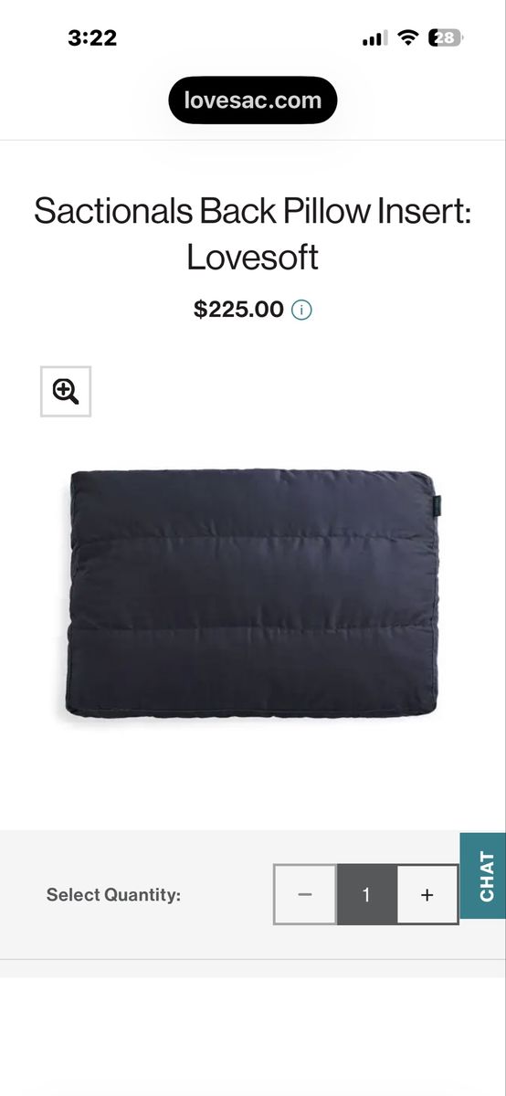 Lovesac Sactionals Back Pillow Insert Lovesoft and Down Insert