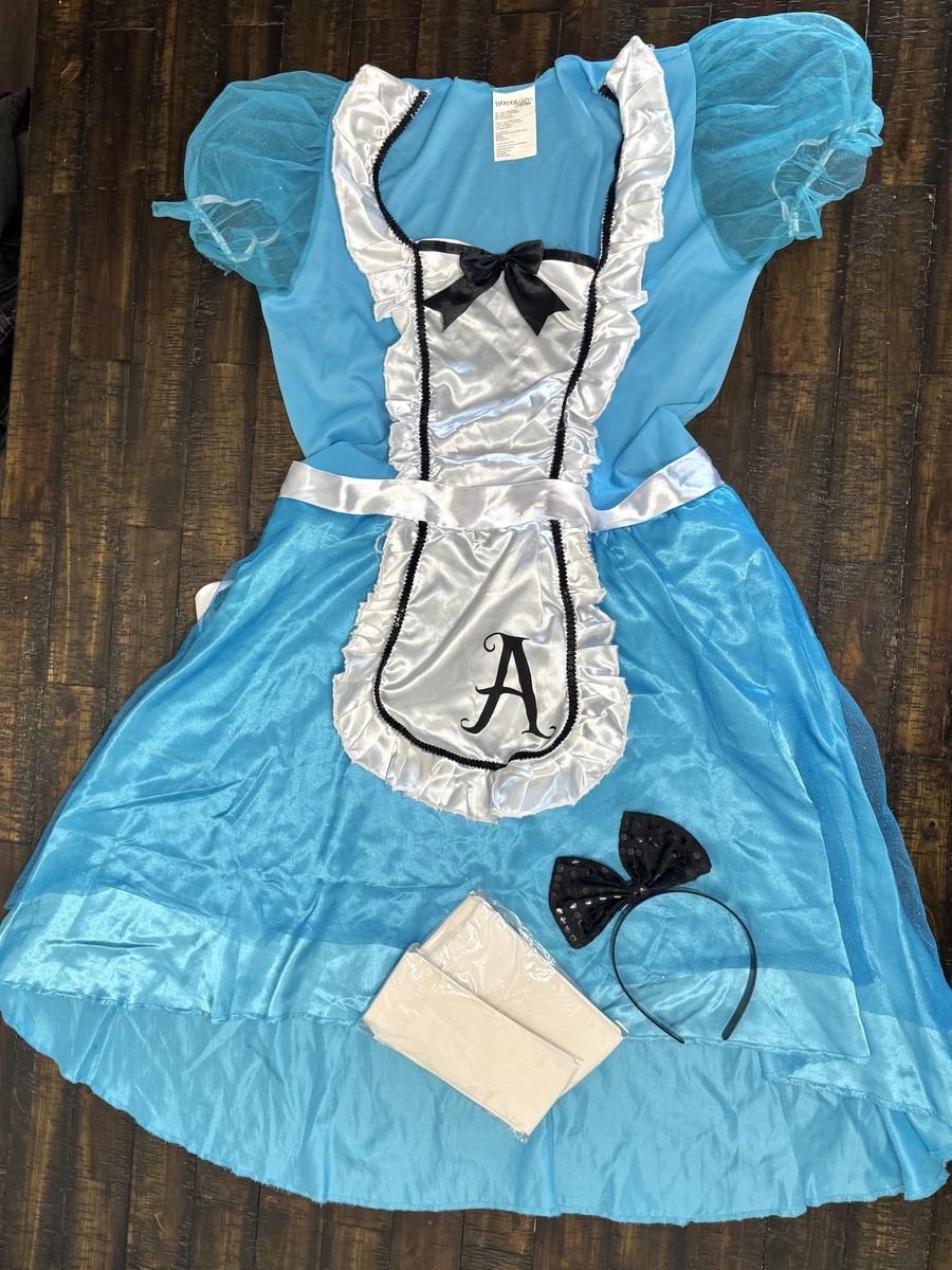 alice in wonderland costume